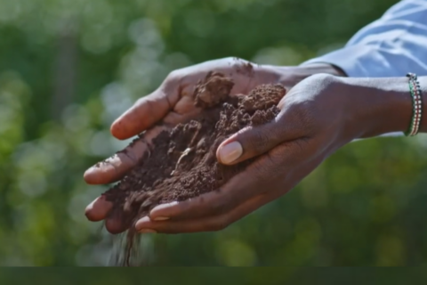 soil revival_Kenya