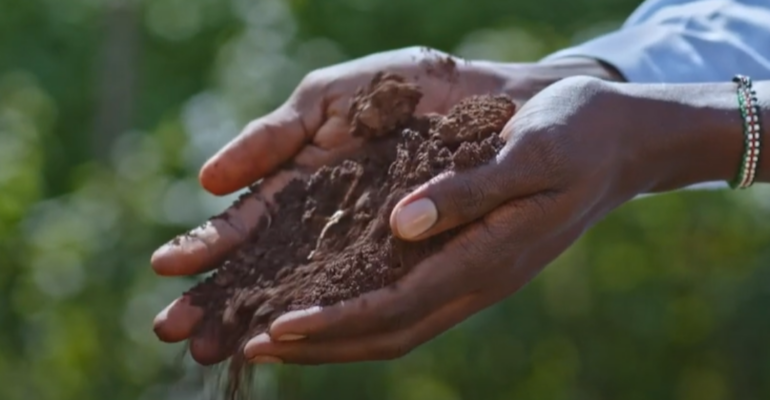 soil revival_Kenya