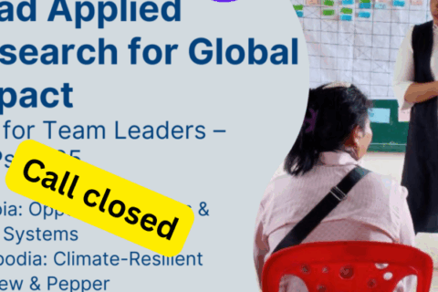 SLE-Team-leader-2025-2-770x400