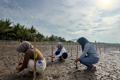 smaller_Foto3_SMKN1PND_MonitoringMangrove