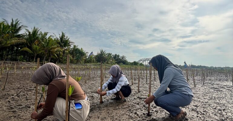 smaller_Foto3_SMKN1PND_MonitoringMangrove